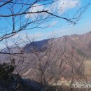 정천면행정복지센터 네이버블로그
