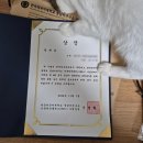 [🇪🇸 스페인 마드리드 유학] #5 11월 일상 | 여행하고 먹고 DELE B2 현지 후기