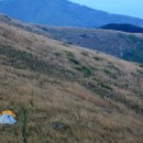 in 섬 story 이미지