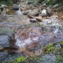 천명농장 이미지