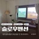 웰컴빨래방 | [제주] 동쪽 종달리 혼자여행 1인 숙소 여성전용 게스트하우스 - 슬로우 맨션 '숨방' 후기
