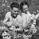 메기의 추억 이미지