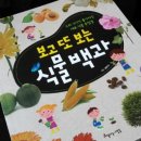 재미 쏙쏙 창의력 쑥쑥 이미지