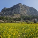소희농장 | (제주도 여행 코스추천) 아이와 함께하면 좋을 제주도 코스 추천/제주 서쪽 코스 2일차