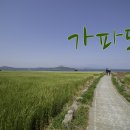 청보리 섬 가파도, 대한민국에서 가장 푸른 섬 이미지