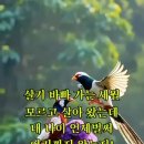 ♡쉬는 법도 배우자 // 🏕 비밀번호 🎡// 참 좋은 친구 이미지