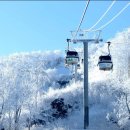 제624차 전북 무주 덕유산 향적봉 눈꽃 설경 산행안내(26.2.24) 이미지