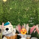 백암스파월드 이미지