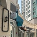 셀포랩스타 이미지