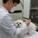 나주종합동물병원 이미지