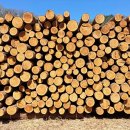 산골자전거 이미지