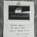 자다가 깨서 갑자기 영시들한데 자랑질~ㅎ 이미지