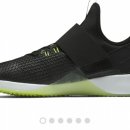 더줌밴드 이미지