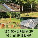 광주 남구 숲 놀이터 유아 숲 체험원 노대동 풀빛근린공원 체험 신청 방법