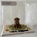 펫티시에 이미지