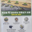 삼진A.D.P