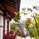 소이한옥 이미지