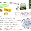 발효액비가 감귤재배에 좋은 이유 Why FLFs are good for cultivating Citrus 이미지