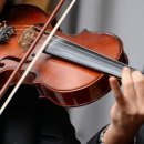 비올라 1:1 개인레슨 이미지