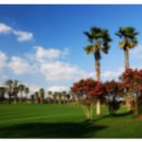 샤인빌파크CC(대중형 18홀) 이미지