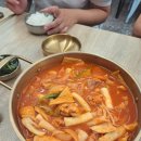 마니개발