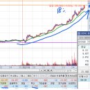 에코바이오텍(주) | 2025.2.18.화요일 이수스페셜티케미컬, 오름테라퓨틱, 씨메스, 오름테라퓨틱