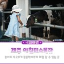 피카소 목장 이미지