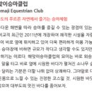 해맞이승마클럽 이미지