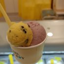 레알옵티컬 이미지