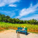 국화황토공원 뉴스1