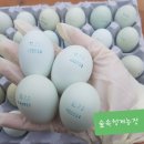 김민혁농장 티스토리