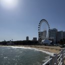 후포 닭강정 | 2박 3일 강원도 여행 속초 중앙시장 맛집 장홍김밥 술빵 강릉 감자탕수육