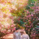 삼양내츄럴 | 제주 웨딩스냅 추천 12월 제주 스냅촬영 가격 비용 피에스타샵 스드메 패키지 촬영 후기