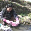 빨래터 컴퓨터 이미지