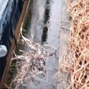 이순이농장 이미지