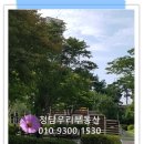 부동산청담우리부동산중개 이미지