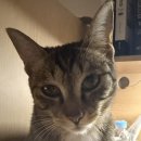 성주군청 | 성주 군청에 구직 활동 후기