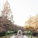 매일가든 이미지