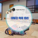 충주축협동물병원 | 대형견동반 독채 펜션 충주호 스테이 기억의온도 3동 단독 사용 다견 가정 눈치 제로