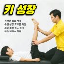늘편안체형