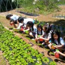 에코팜농장 이미지