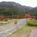 (주)오토원 이미지