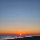 연곡 | 강릉 연곡해변 솔향기캠핑장 후기_일출과 주문진항 오징어회 저녁 둘째날