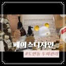 양파헤어라인 네이버블로그