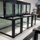 도그어게인 이미지