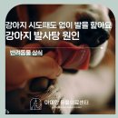 천호동물병원 이미지