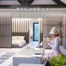 스테이정연 이미지