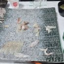 다경수산 - 사천시 어시장길 15 | 다경수산