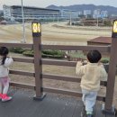 벚꽃치과의원 이미지