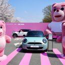 곰모터스 이미지